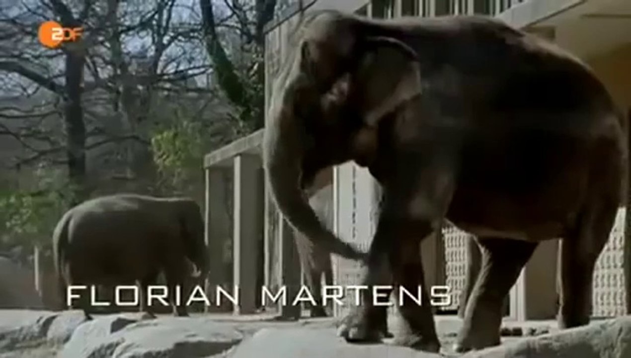 Ein starkes Team -50- Gnadenlos