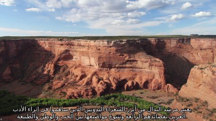 قصة قصائد الشاعر مرشد البذال الرشيدي