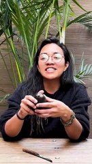 Aguacate mexicano, estrella presente en el Super Bowl 2025 | Reporte Indigo