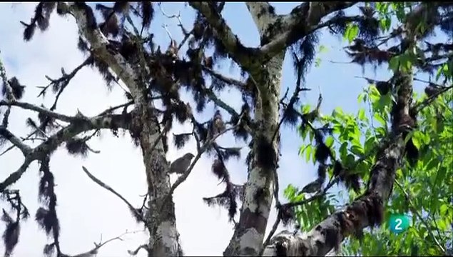 Galápagos: Evolución Natural - Documental Completo | Fauna Única y Darwin