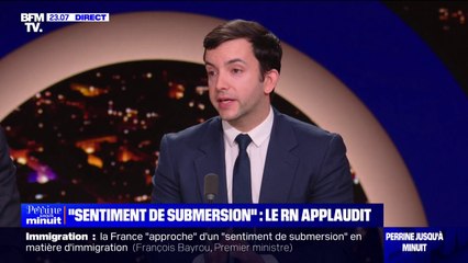Propos de François Bayrou sur l'immigration: "Une victoire idéologique remportée depuis longtemps", pour Jean-Philippe Tanguy (RN)