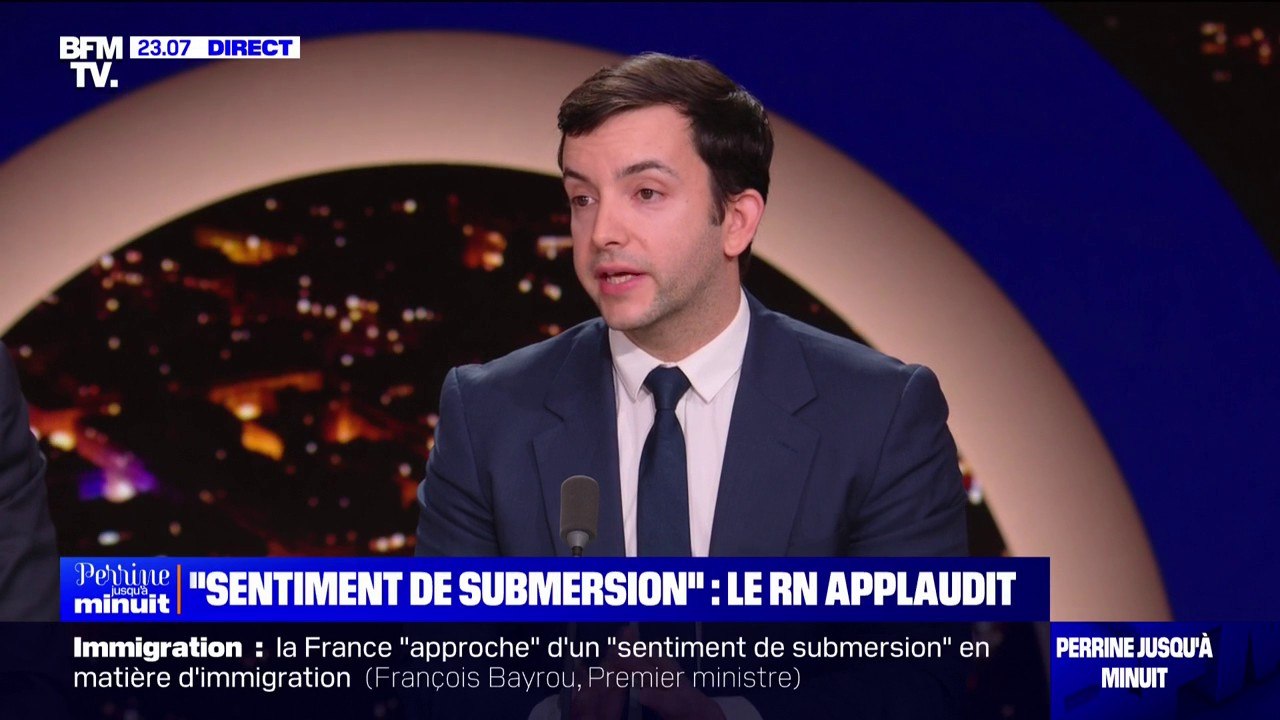 Propos de François Bayrou sur l'immigration: "Une victoire idéologique remportée depuis longtemps", pour Jean-Philippe Tanguy (RN)