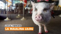 Local heroes: La maialina Lilou