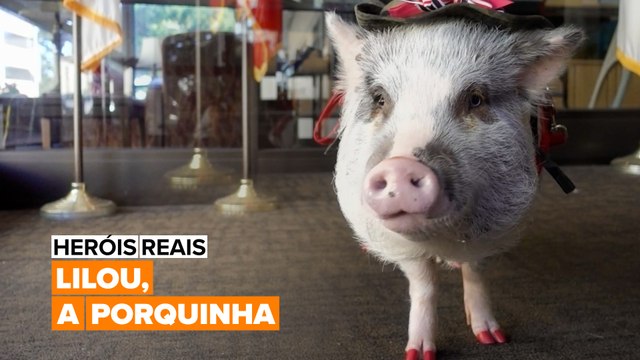 Heróis Reais: Lilou, a porquinha