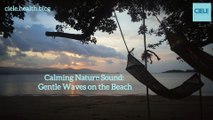 Calming Nature Sound:  Gentle Waves on the Beach