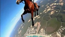 "Horsefly with a Parachute? "