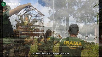 "Oportunidades de emprego: concursos públicos com salários atrativos e recomendações de séries na Netflix"