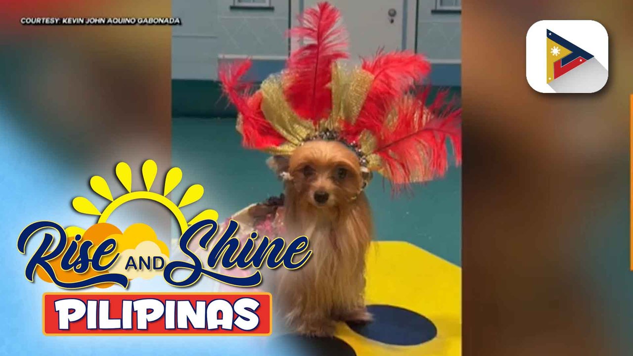 Kilalanin ang cute na cute na pet fashionista