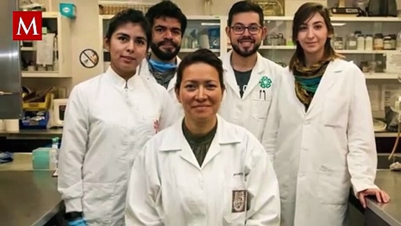 La innovación de Eva Ramón Gallegos: ¿Cómo una científica mexicana erradicó el VPH en mujeres?