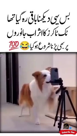 ♡ - بس یہی دیکھنا باقی رہ گیا تھا 😀🤣🤓😈(SD)