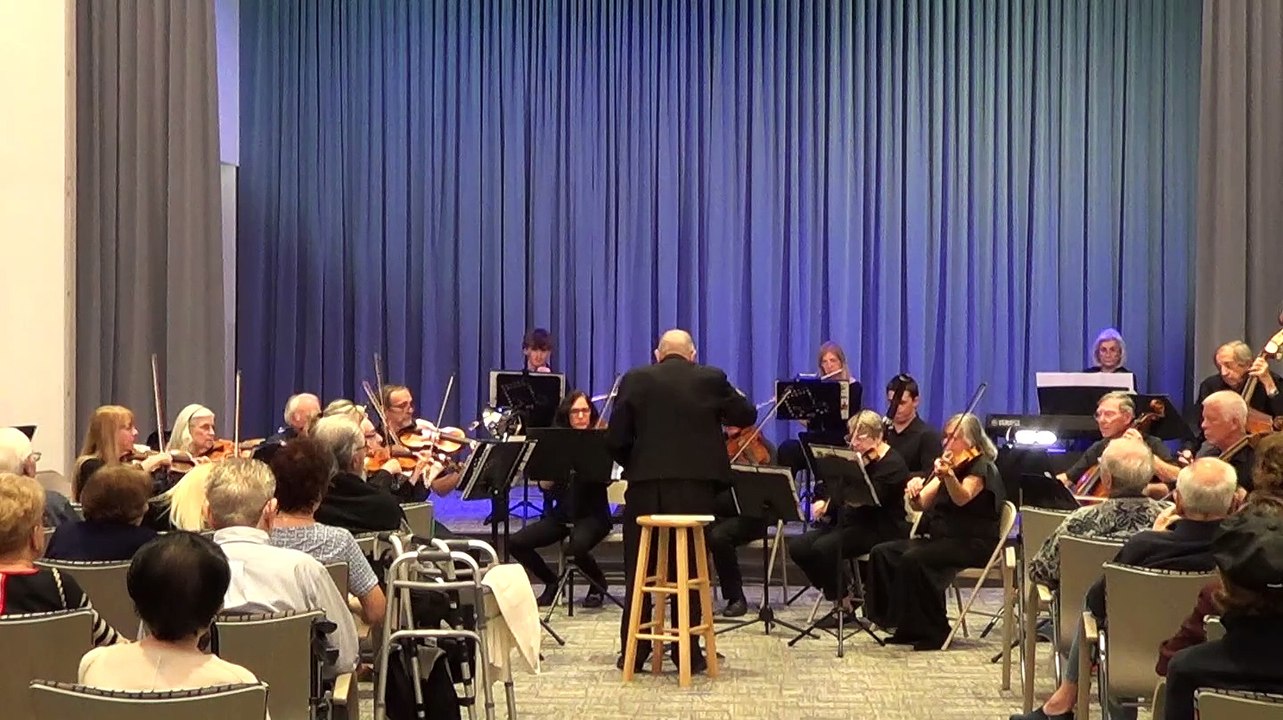 Symphony No. 1 - Mvt 1