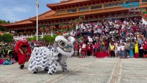 Lunar New Year 2025 | January 29, 2025 | Illawarra Mercury