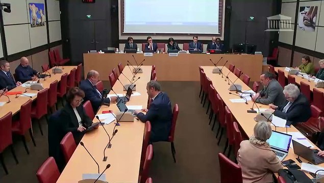 Commission des affaires économiques : Interdire l’importation de produits agricoles non autorisés en France - Mardi 28 janvier 2025