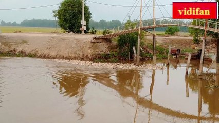 raising ducks at the end of the year