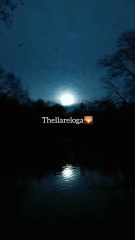 Godari Gattu medha 🎶