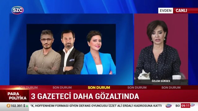 Barış Pehlivan'ın ifadesinde kritik cümleler