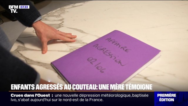 Agressés au couteau et violemment frappés dans le RER, ces deux jeunes témoignent