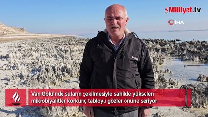 Van Gölü’nde su seviyesi düşmeye devam ediyor