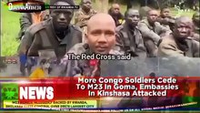 More Congo Soldiers Cede To M23 In Goma, Embassies In Kinshasa Attacked