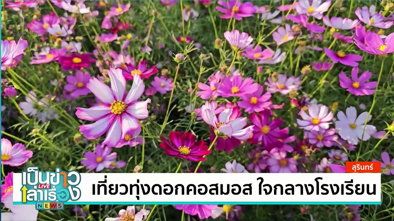 เที่ยว “พิพิธภัณฑ์เตาถ่านโบราณ” | เป็นข่าวเล่าเรื่อง | 29 ม.ค. 68 | PART 2