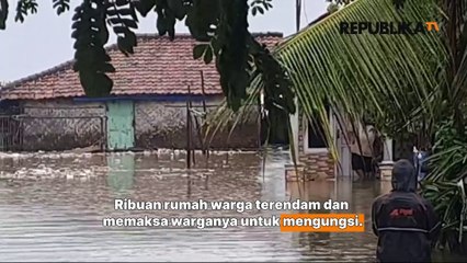 Banjir Rob Terjang Indramayu, Ribuan Rumah Warga Teredam