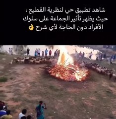 فيديو متداول عن طريق حساب منسوب لفادي الهاشم زوج نانسي عجرم في أول تعليق بعد شائعات الطلاق