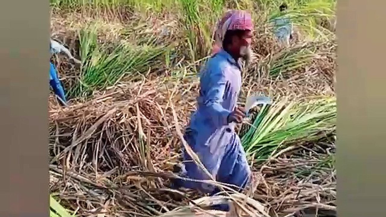 # Most funny # Moment pakistani #