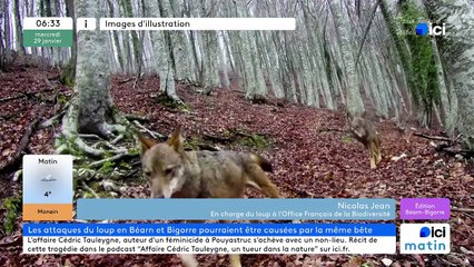 29/01/2025 - ici matin par ici Béarn Bigorre en vidéo