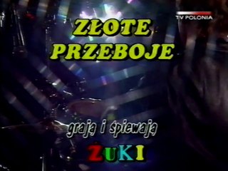 TV Polonia - koncert zespołu Żuki - 27.04.2002
