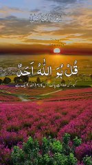 #islamicstatus #reels #foryou  #viralvideo #viral