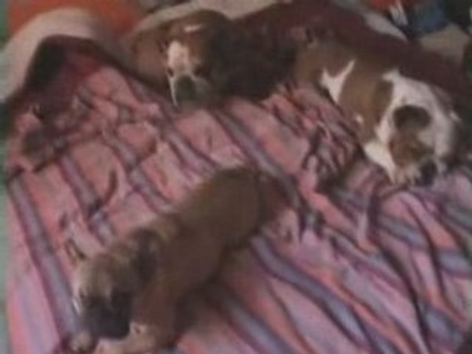 YUNA >> Les bullys bullent avec la boulette