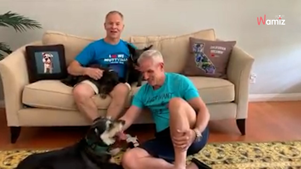 DE_37154Am Sterbebett: Krankes Herrchen hat einen letzten Wunsch