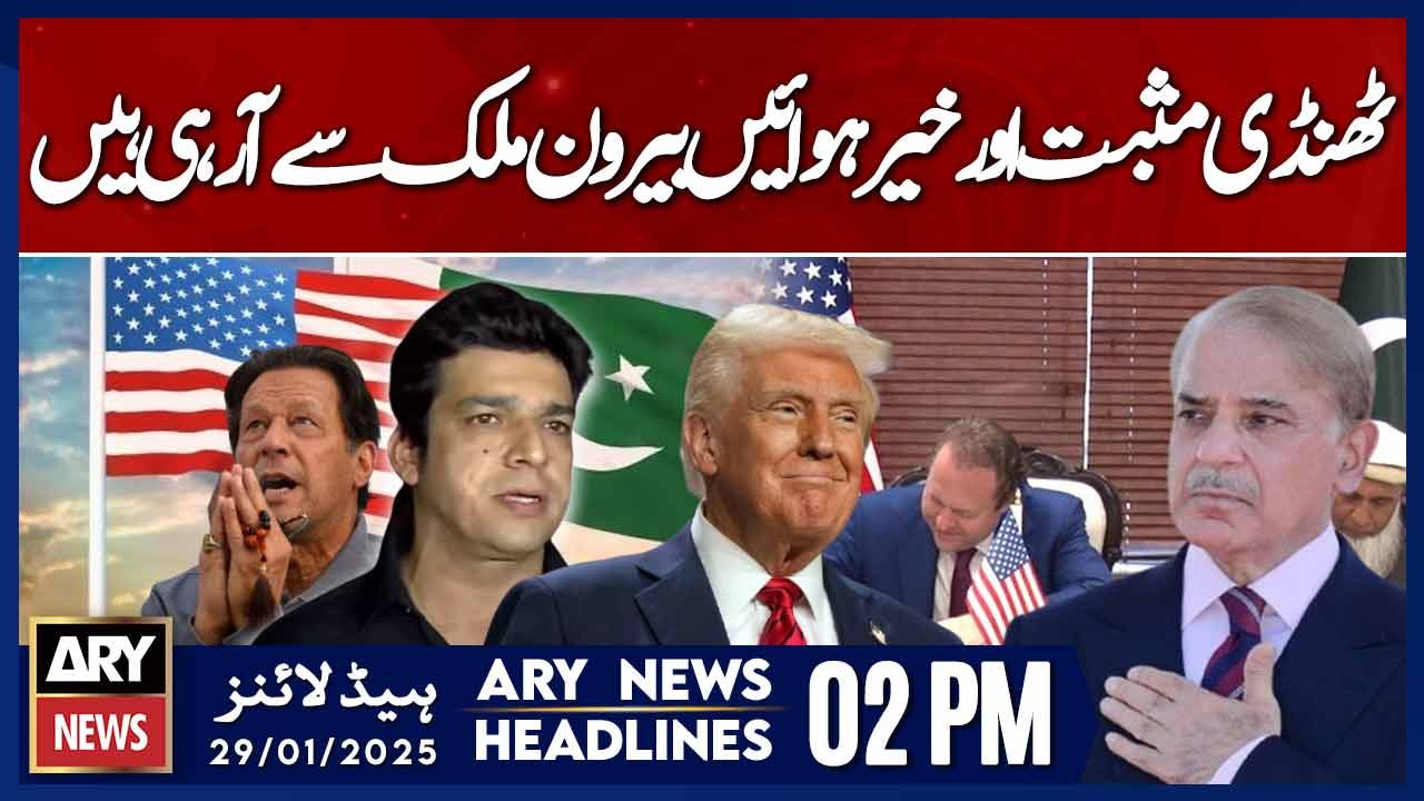 Faisal Vawda Gave Good News  - ARY News 2 PM Headlines | 29th JAN 2025 - Pakistan Economy