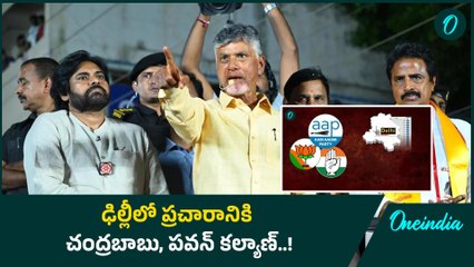 Delhi Assembly Election 2025: ఢిల్లీలో ప్రచారం చేయనున్న సీఎం చంద్రబాబు |Oneindia Telugu