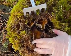 Exploring pure gifts of nature!