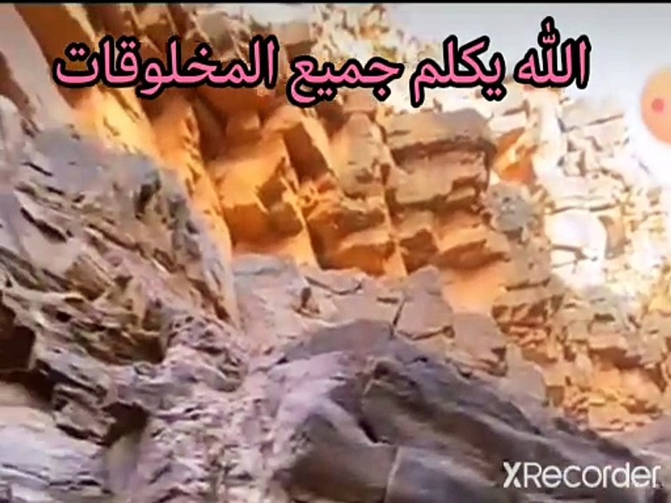 نقي قلبك الله يكلم جميع المخلوقات