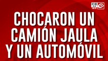 Chocaron camión jaula y un automóvil: hay tres personas muertas