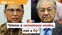 Umno a venomous snake, not a fly, says Puad