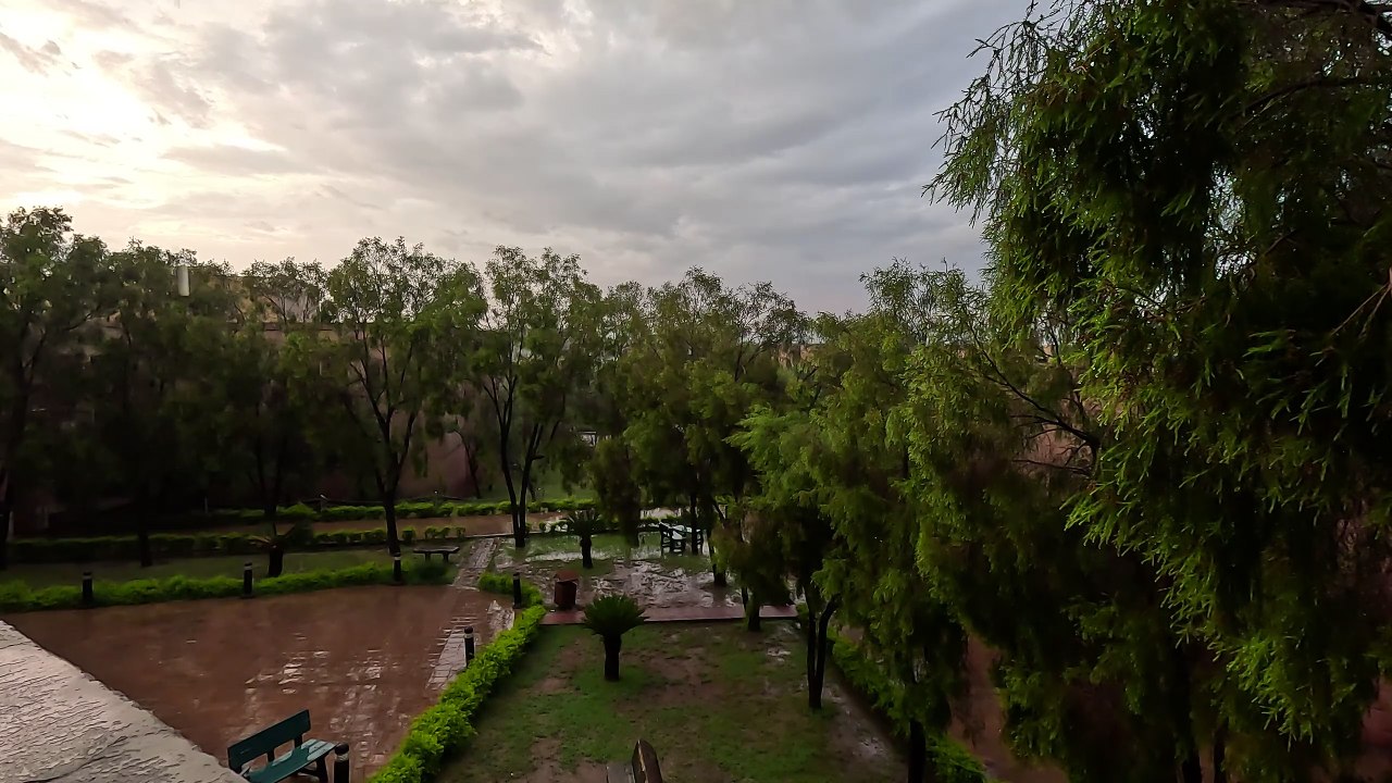 Rain Again