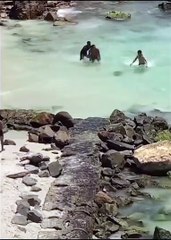 Tartaruga marinha é cercada por banhistas em Arraial do Cabo