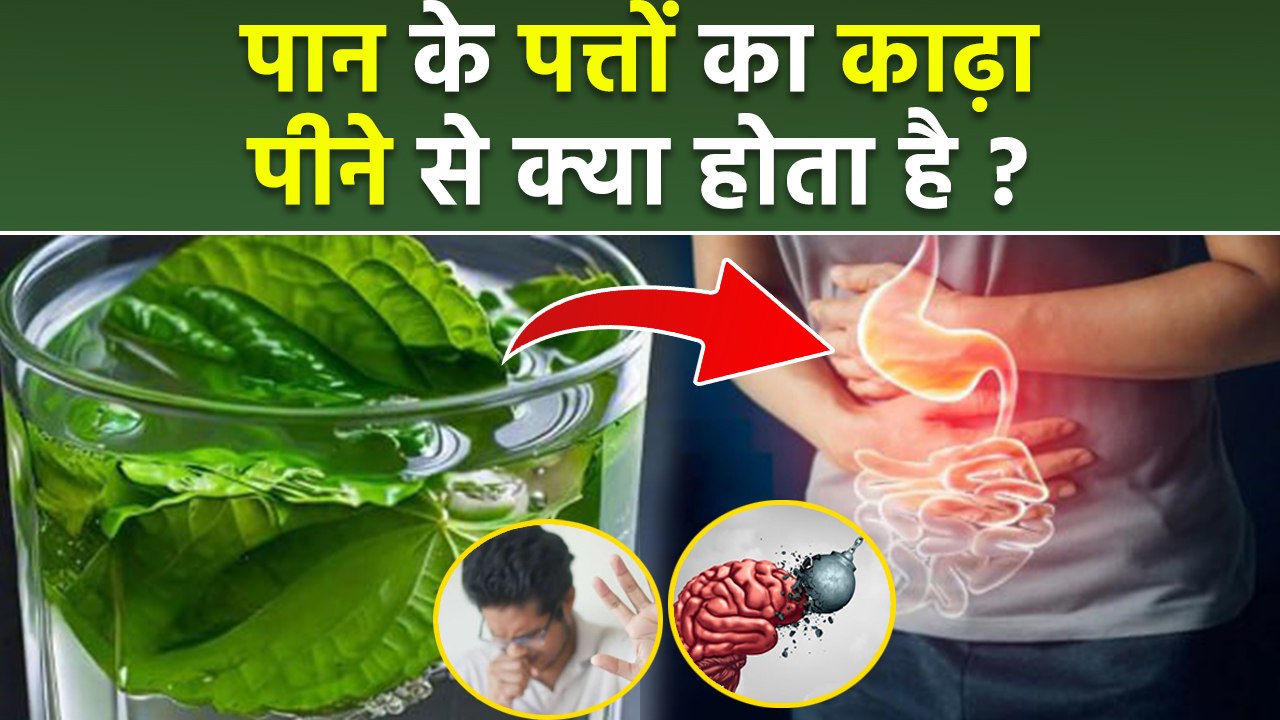 Betel Leaf Juice Benefits: पान के पत्तों  का काढ़ा पीने के फायदे, Digestion, Cough To Stress |