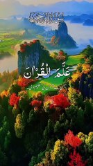 #islamicstatus #reels #foryou  #viralvideo #viral