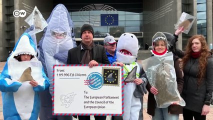 Europe's shark trade - A billion-dollar business threatening marine ecosystems | DW Documentary