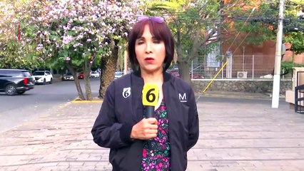 Detienen a 'La Morsa', cercano a 'El Guano', en CdMx. Magda González, 28 de enero 2025