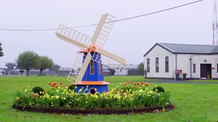 Going Dutch - Trailer