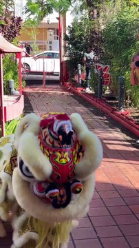 Revivez la danse du lion au temple Chane avec l'association Ping Sheng !