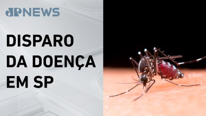 São Paulo registra quatro mortes por febre amarela em 2025