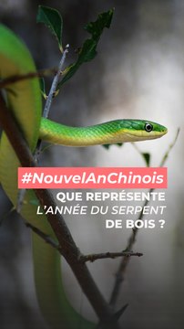 Nouvel an Chinois : ce que signifie l'année du serpent de bois