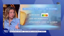 Votre nutrition : Biscottes vs pain, qui gagne la bataille santé ?