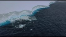 L'Iceberg più grande del mondo minaccia l'habitat di foche e pinguini